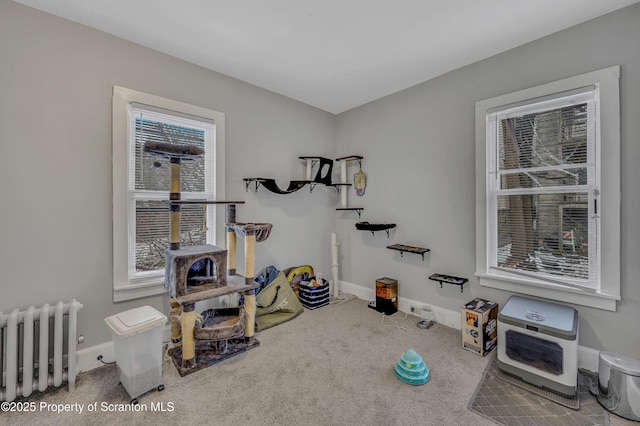 workout room featuring heating unit, carpet flooring, and radiator heating unit