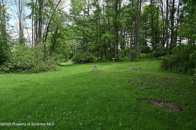 519 Sutton Rd, New Milford, PA 18834 - view of green lawn