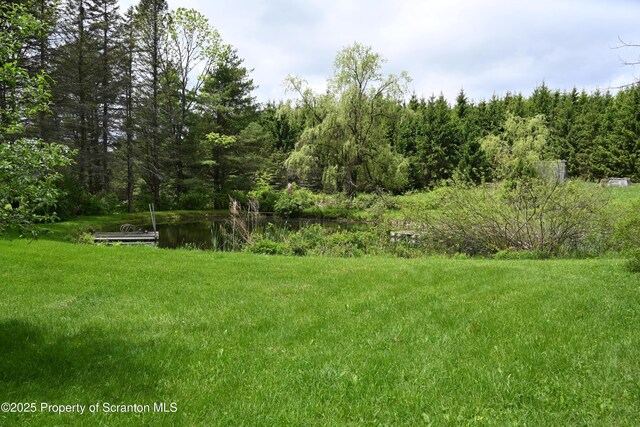 519 Sutton Rd, New Milford, PA 18834 - view of green lawn featuring a wooded view