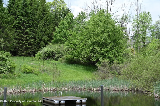 519 Sutton Rd, New Milford, PA 18834 - view of nature featuring a large body of water