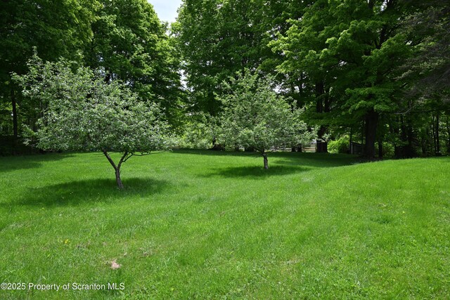 519 Sutton Rd, New Milford, PA 18834 - view of green lawn