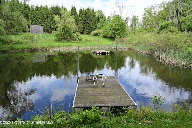 519 Sutton Rd, New Milford, PA 18834 - dock with a water view and a wooded view