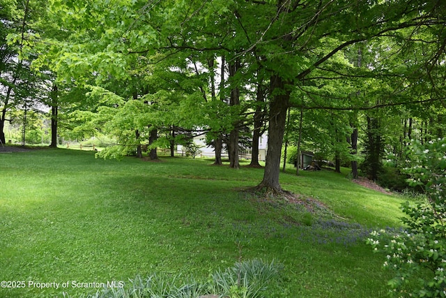 519 Sutton Rd, New Milford, PA 18834 - view of grassy yard