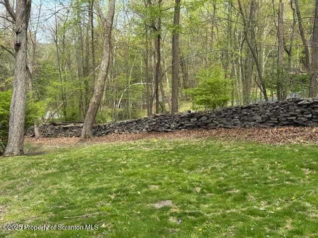 view of yard featuring a wooded view