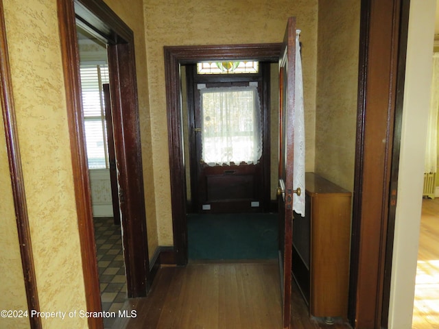 corridor with radiator heating unit and hardwood / wood-style flooring