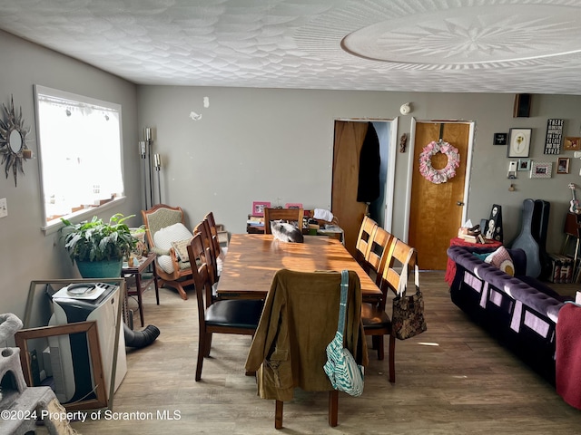 dining area featuring wood-type flooring and a textured ceiling