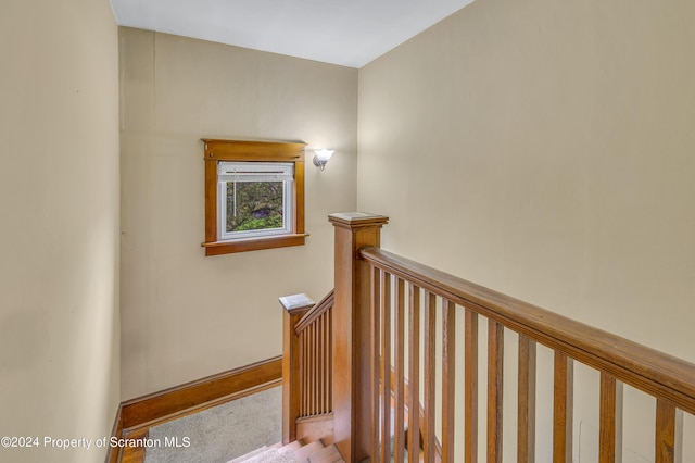 stairs featuring carpet