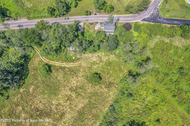 1335 Gravel Pond Rd, Clarks Summit, PA 18411 - photo 46