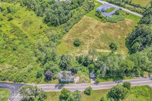 1335 Gravel Pond Rd, Clarks Summit, PA 18411 - photo 4