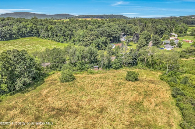 1335 Gravel Pond Rd, Clarks Summit, PA 18411 - photo 43