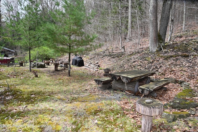 3511 Liberty Park Rd, Hallstead, PA 18822 - view of yard