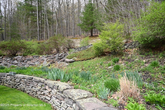 3511 Liberty Park Rd, Hallstead, PA 18822 - view of yard featuring a forest view