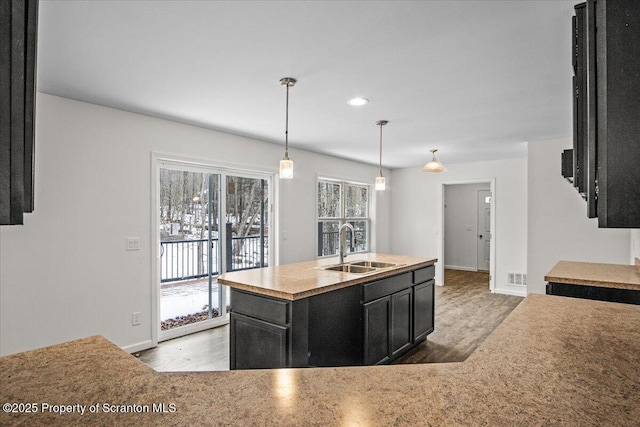 kitchen with hanging light fixtures, hardwood / wood-style flooring, sink, and a center island with sink