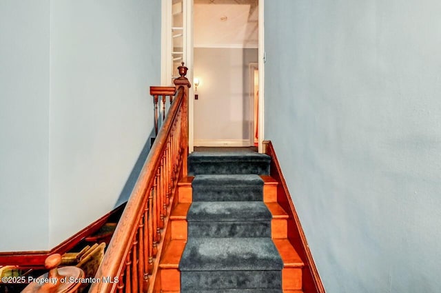 1008 Sunset St, Scranton, PA 18509 - photo 25