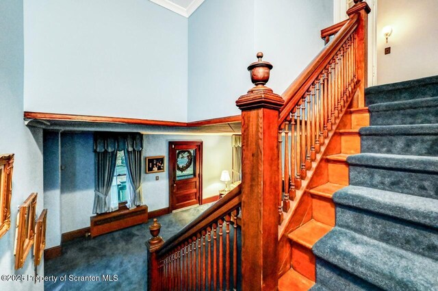 1008 Sunset St, Scranton, PA 18509 - photo 24