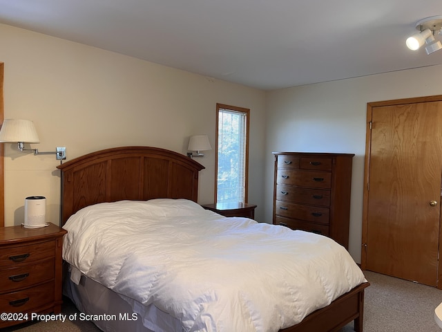 carpeted bedroom featuring a closet