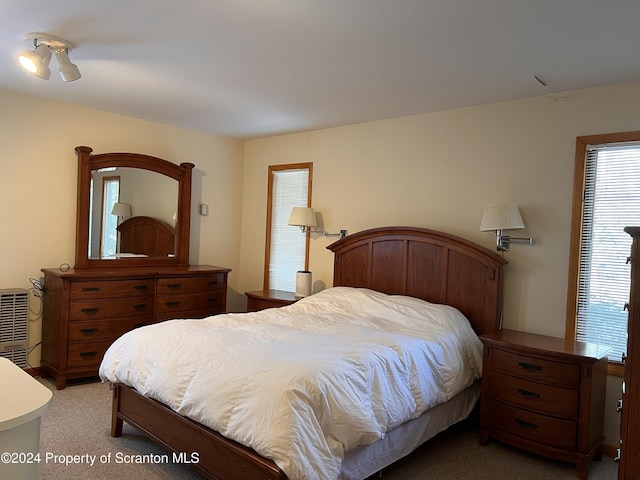 view of carpeted bedroom