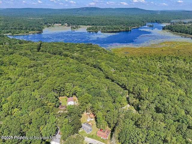 107 Stoney Hill Rd, Dingmans Ferry, PA 18328 - photo 44