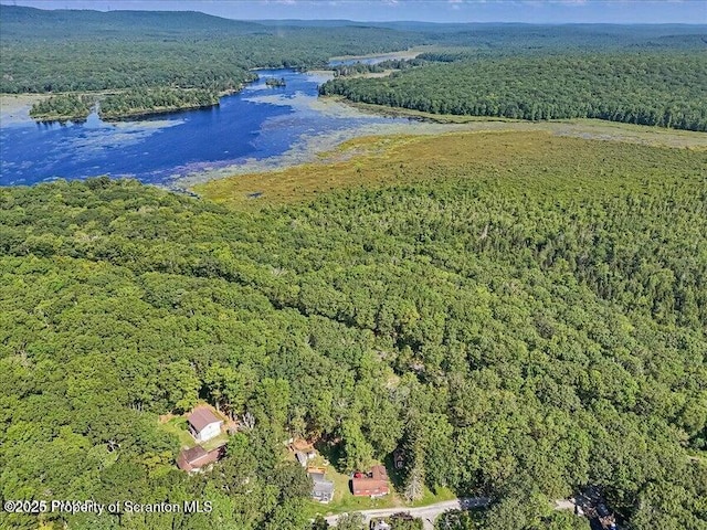 107 Stoney Hill Rd, Dingmans Ferry, PA 18328 - photo 46