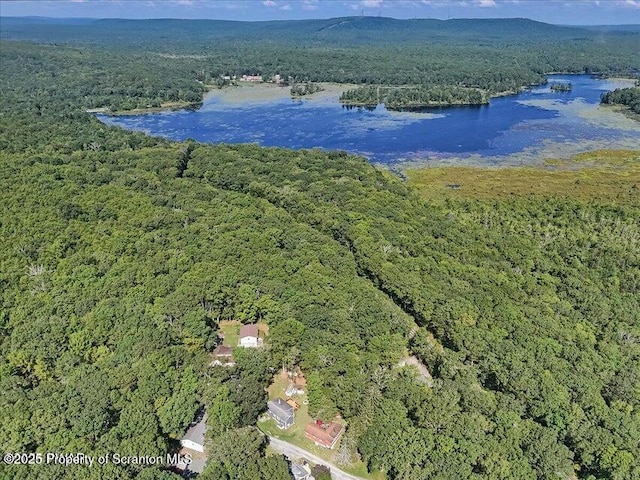 107 Stoney Hill Rd, Dingmans Ferry, PA 18328 - photo 45
