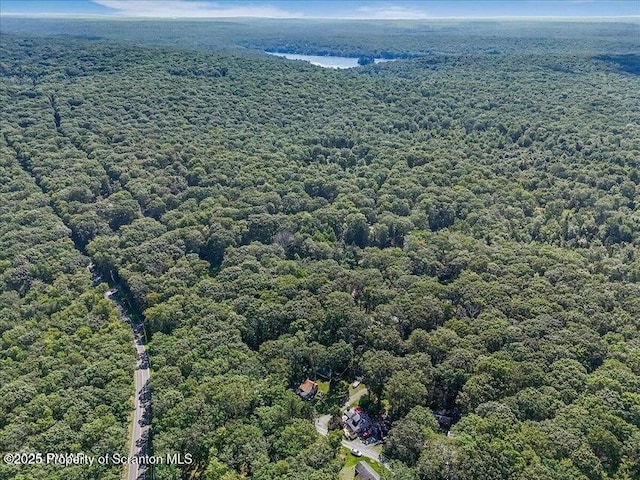 107 Stoney Hill Rd, Dingmans Ferry, PA 18328 - photo 43