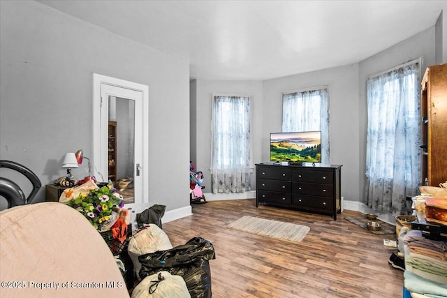 bedroom featuring multiple windows, baseboards, and wood finished floors