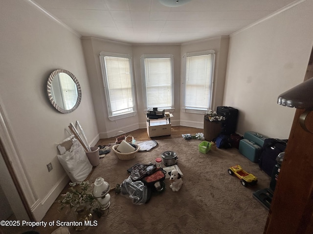 miscellaneous room featuring baseboards, ornamental molding, and a wealth of natural light