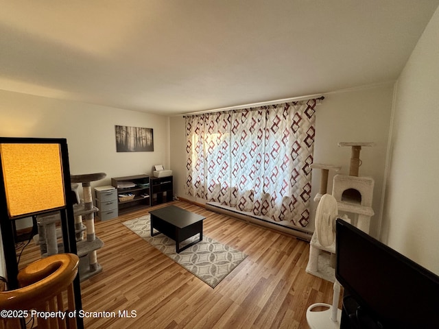 502 Hudson St, Forest City, PA 18421 - photo 10