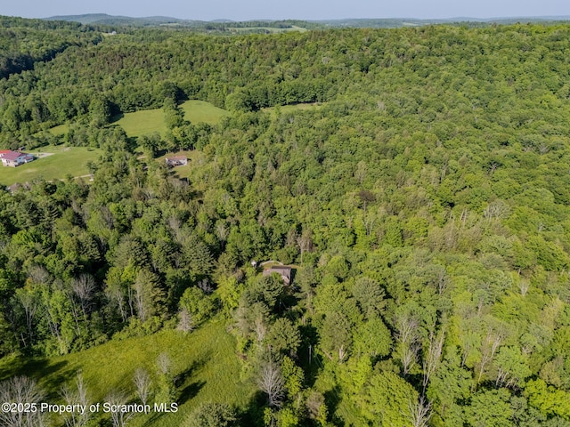 2269 Creek Rd, New Milford, PA 18834 - aerial view of property's location with a heavily wooded area