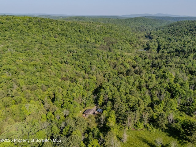 2269 Creek Rd, New Milford, PA 18834 - bird's eye view of a heavily wooded area