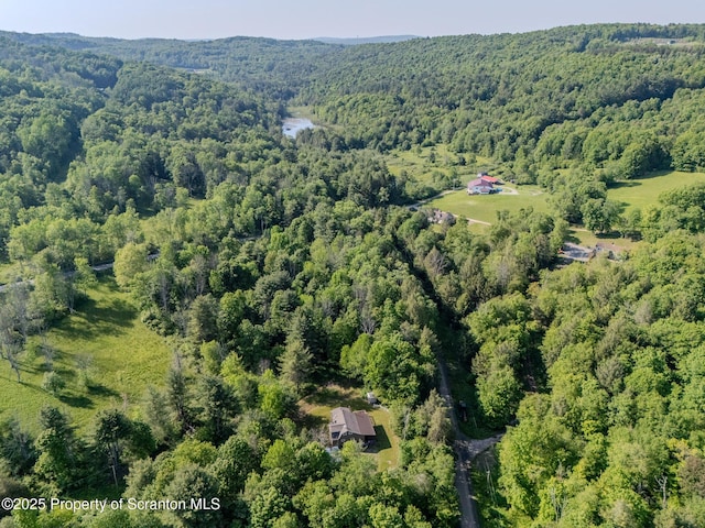2269 Creek Rd, New Milford, PA 18834 - view of property location featuring a heavily wooded area