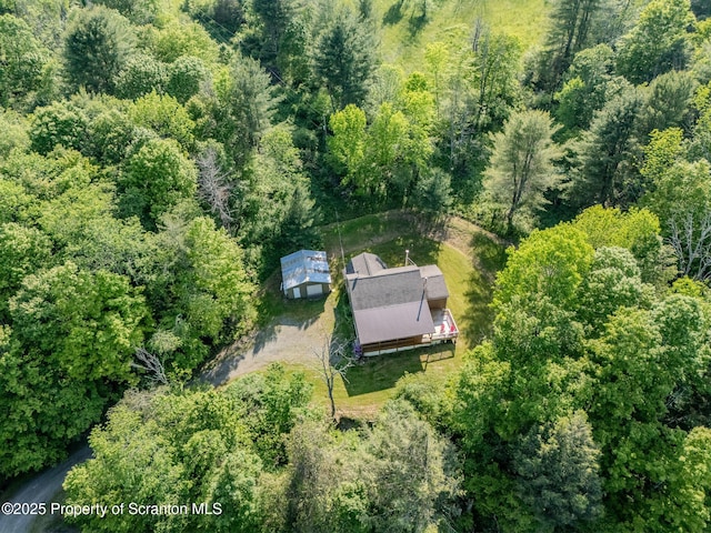 2269 Creek Rd, New Milford, PA 18834 - view of subject property featuring a forest