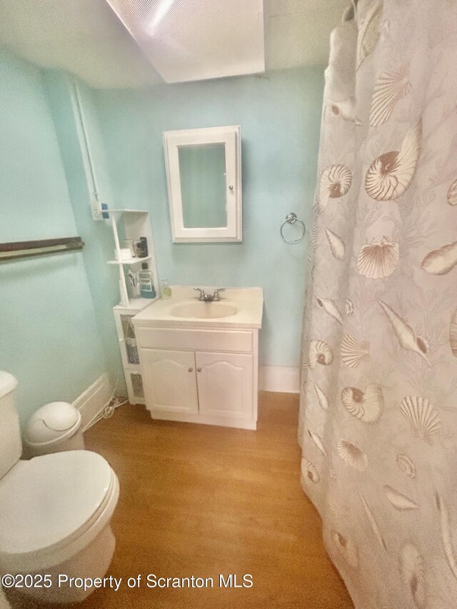 bathroom with vanity, wood finished floors, and curtained shower