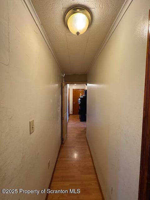 1449 Dickens St, Scranton, PA 18504 - hallway with light wood finished floors