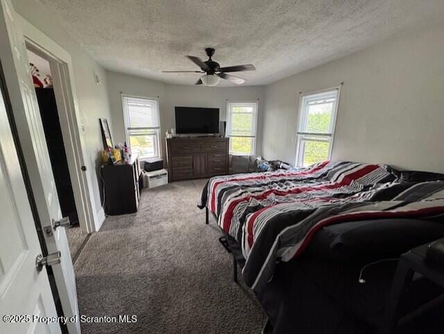 1449 Dickens St, Scranton, PA 18504 - bedroom with a textured ceiling, carpet, multiple windows, and ceiling fan