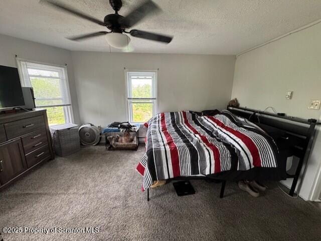1449 Dickens St, Scranton, PA 18504 - bedroom featuring carpet floors, multiple windows, a textured ceiling, and ceiling fan