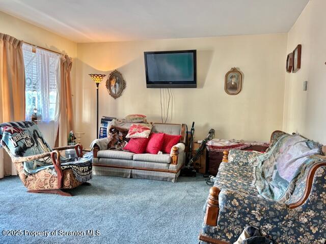 view of carpeted living area