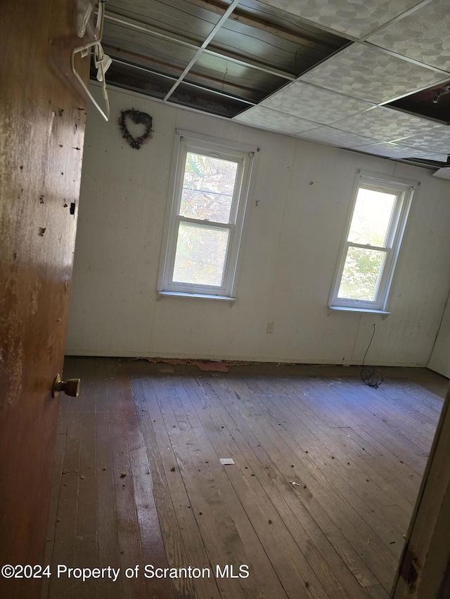 empty room with hardwood / wood-style floors and a wealth of natural light