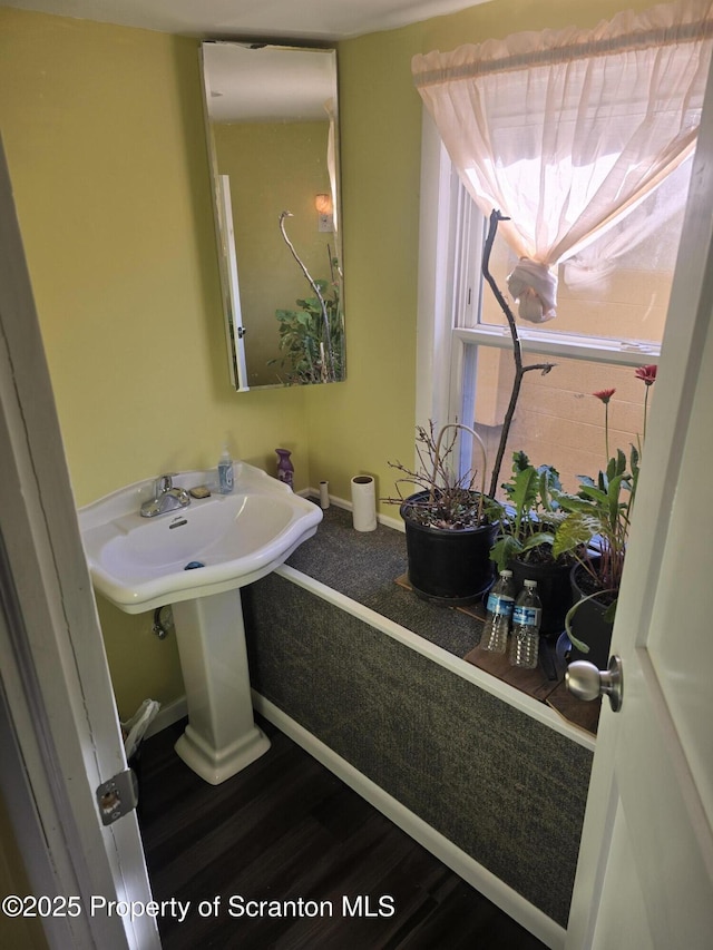 bathroom featuring hardwood / wood-style floors