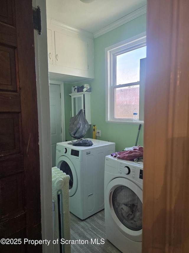 clothes washing area with crown molding, wood-type flooring, washing machine and dryer, and cabinets