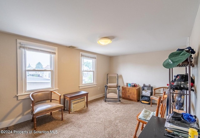 living area featuring carpet flooring