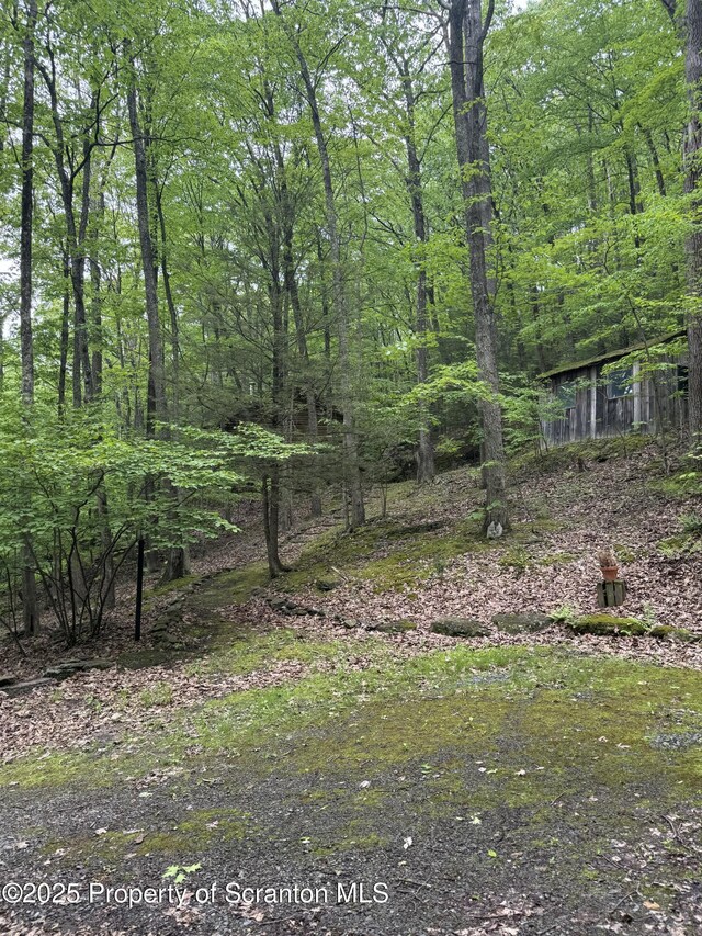684 Fox Rd, Factoryville, PA 18419 - photo 17