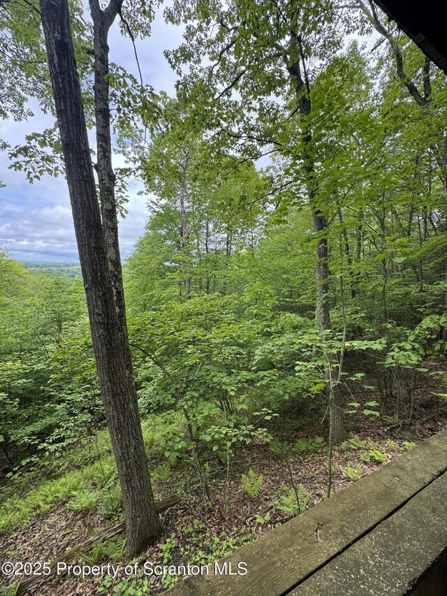 684 Fox Rd, Factoryville, PA 18419 - photo 13