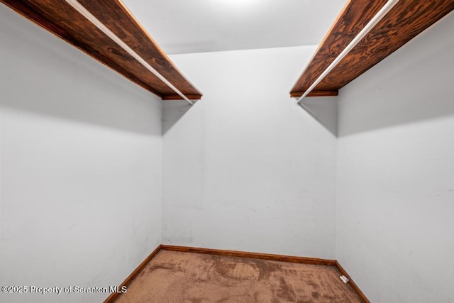 1103 Quarry Rd, Old Forge, PA 18518 - spacious closet featuring carpet floors