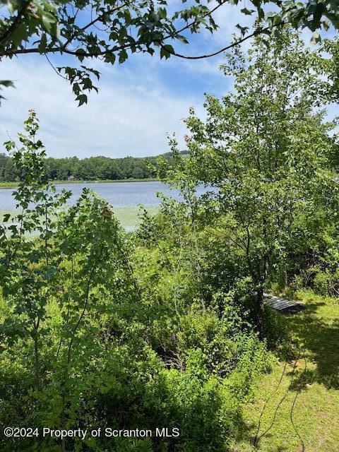 354 Minnow Dr, Susquehanna, PA 18847 - photo 13