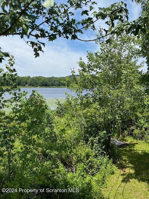 354 Minnow Dr, Susquehanna, PA 18847 - photo 16