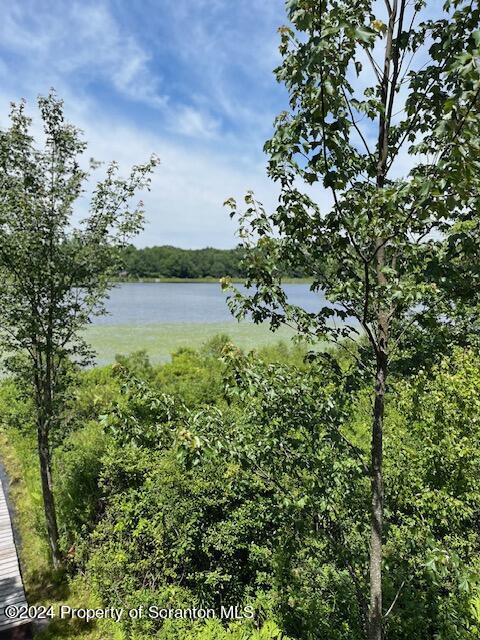 354 Minnow Dr, Susquehanna, PA 18847 - photo 10