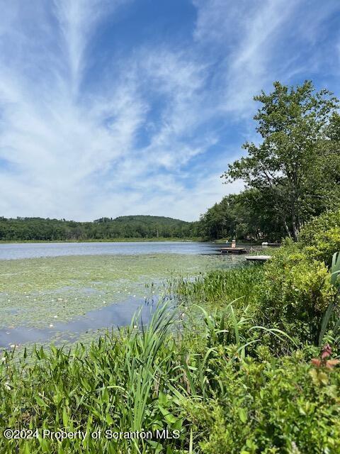 354 Minnow Dr, Susquehanna, PA 18847 - photo 20