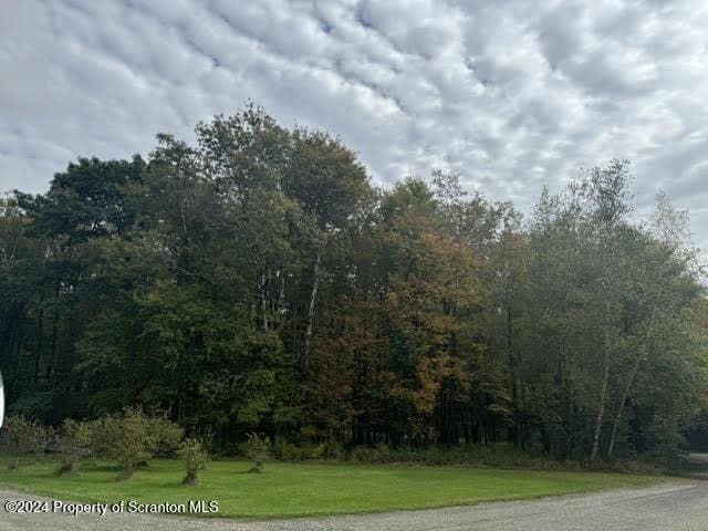 3365 Lake Of Meadows Rd, Little Meadows, PA 18830 - view of asphalt road featuring a view of trees