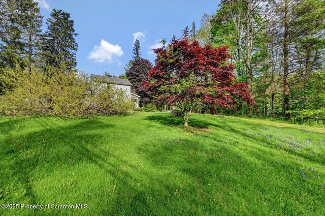 340 Brook St, Moscow, PA 18444 - photo 44